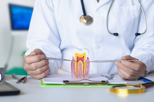 Best Emergency Root Canal Treatment in Pocono Woodland Lakes, PA